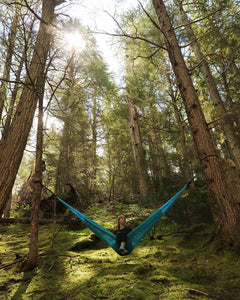 Hammocks Need Trees